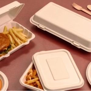Contenant jetable de 17 oz (500 ml) en bagasse de canne à sucre biodégradable, non toxique, certifié ISO, compostable, sans BPA - Product Image 4