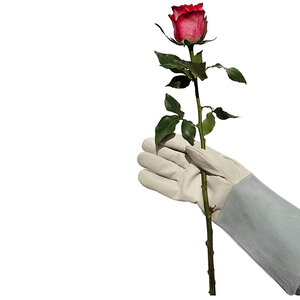 Gants de jardinage haut de gamme pour les jardiniers exigeants, offrant une forte adhérence, un ajustement confortable et une protection accrue contre les coupures et la saleté - Product Image 5
