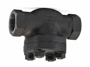 วาล์วกันกลับแบบยกแนวนอนขนาด 1/2 นิ้ว ASTM A105 เหล็กกล้าคาร์บอนฟอร์จ เกรด 800 เกลียว NPT แบบตัวเมีย - Product Image 3