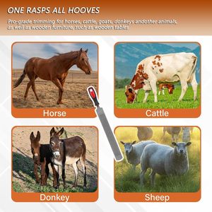 Raspador de Pezuñas de Acero al Carbono de 14 Pulgadas, Herramienta Profesional para Herradores con Mango de Goma Antideslizante para Pezuñas de Caballos, Cabras, Vacas, Burros y Otros Animales - Product Image 5