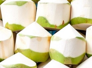 Coco Joven Fresco – Agua Dulce y Alta Nutrición, Fruta Tropical de Alta Calidad // Mr.Tom - Product Image 4