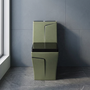 Vistaar Dual Flush S <b>Trap</b> One Piece Water Closet Toilet - Luxury Modern Bathroom Sanitary Ware Wholesale Price - Product Image 1