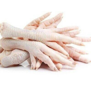 Frozen <b>Chicken</b> Feet and Paws Wholesale Premium Export Quality Bulk Supply for International Food Processing - Product Image 3