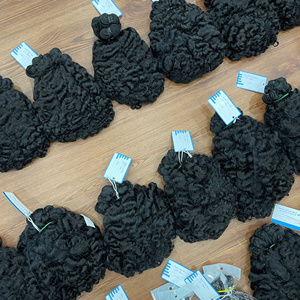 Top Sale Vietnamese Raw Human Hair Bundles 16 Inch – Black Fuzzy Curly, 100% Natural, Soft Thick Texture, No <b>Tangle</b> No Shedding - Product Image 5