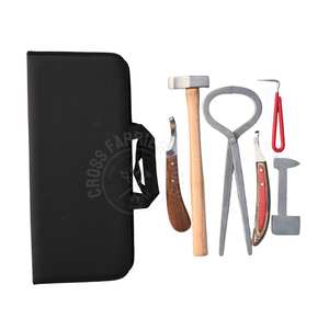 Juego de herramientas de herrador al por mayor con limpiador de pezuñas, pulidor, clavillero, cuchillo curvo para pezuñas, cuchillo para abscesos, herramienta de prueba de pezuñas y martillo - Product Image 1