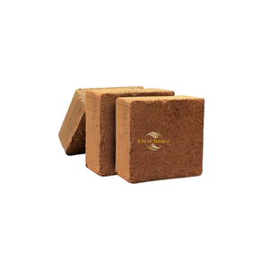 Bloc de fibre de coco naturelle Vietchoice Ivy, écologique pour le jardinage et l'agriculture, fabriqué à Ho Chi Minh City - Product Image 1