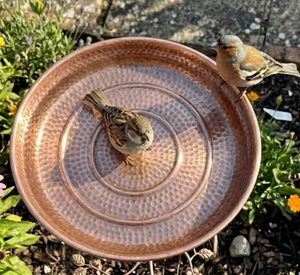 Meilleur Bain d'oiseaux élégant et respectueux des oiseaux pour jardin, en métal, bol en cuivre avec support en fer, couleur noire, fait main - Product Image 5