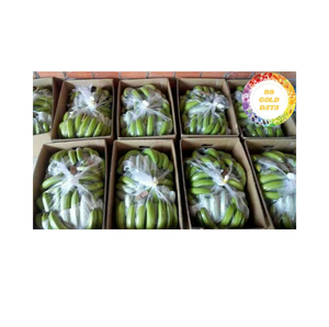 Plátano Cavendish Fresco – Calidad Premium de Exportación de Vietnam - Product Image 3
