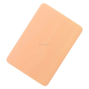 Almohadilla de Sutura para Entrenamiento Quirúrgico Veterinario, Modelo de Práctica de Silicona de 3 Capas, Instrumentos Veterinarios, Mejor Proveedor - Product Image 4