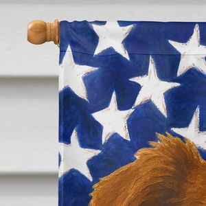 Grande bandiera multicolore in poliestere bandiera rossa bianca bordo Collie bandiera americana cortile Banner Artwork appeso a parete per la manica del portico - Product Image 3