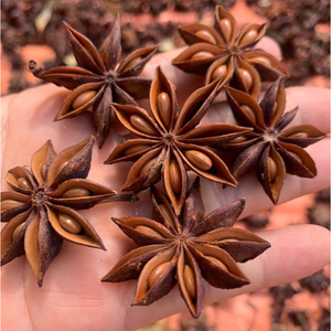 Anís Estrellado Seco Natural de Vietnam, Aroma Intenso, Especia Premium para Cocinar, Sazonar y Procesar Alimentos, Directo de Fábrica - Sra. Grace - Product Image 2