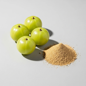 สารสกัดผลมะขามป้อมเกรดพรีเมียม ผงสมุนไพรธรรมชาติ วัตถุดิบเพื่อสุขภาพจากธรรมชาติ ปลูกแบบธรรมชาติ ผู้ผลิตโดยตรงจากโรงงาน ส่งออก - Product Image 2