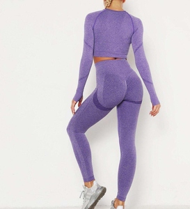 Women's Purple 2 Piece Yoga Set Crew Neck Crop Top Full Length <b>Leggings</b> High Waist Seamless Spandex Polyester Solid <b>Pattern</b> - Product Image 2