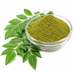 Polvo de Hoja de Curry Secado por Aspersión de Calidad de Exportación, Grado Alimenticio, 100% Puro e Ingredientes Herbales Naturales para Alimentos Saludables y Mezclas de Especias - Product Image 1