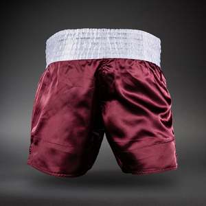 Shorts MMA de haute qualité, shorts de Muay Thai, shorts de boxe, plusieurs styles disponibles - Product Image 1