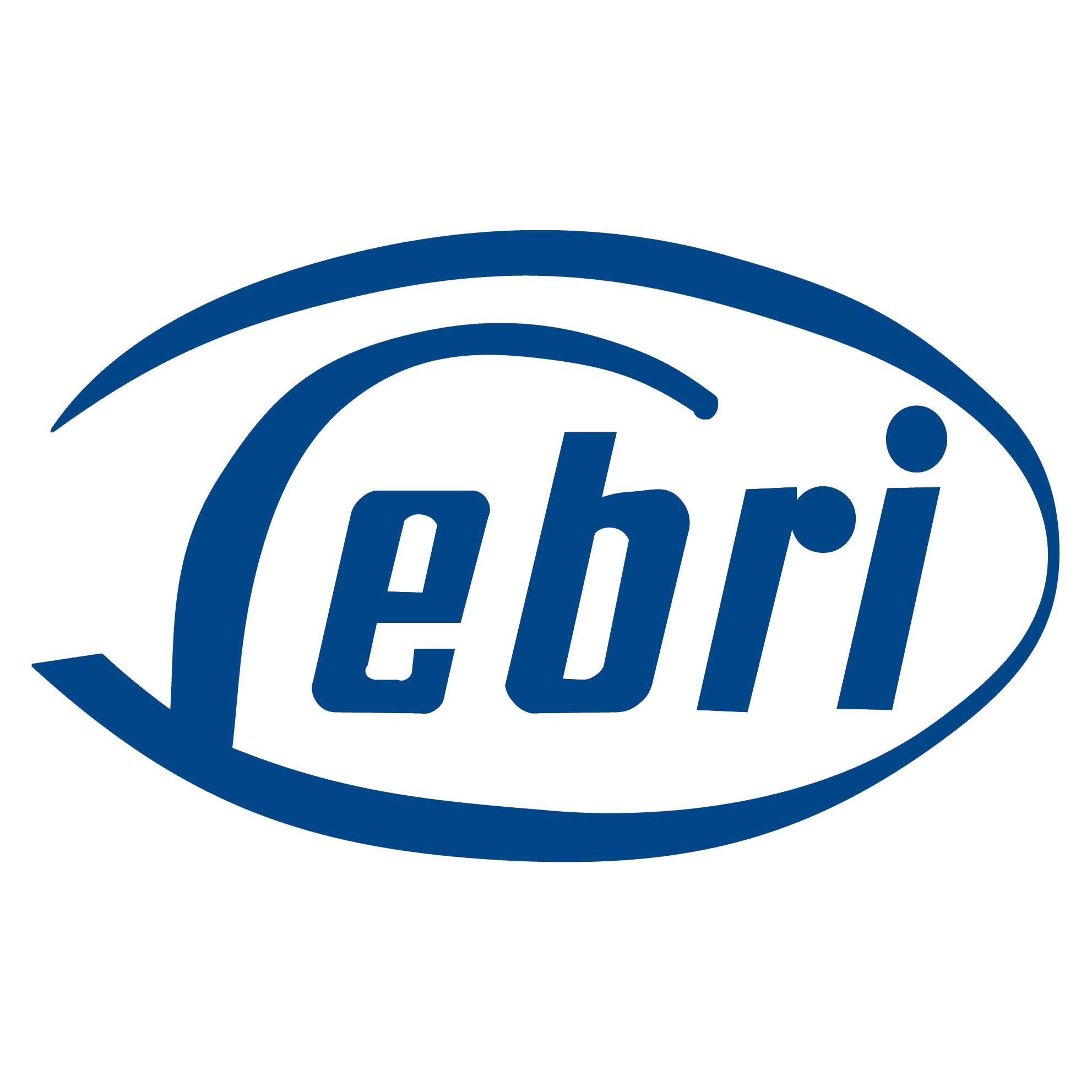 Leder Brinkmann GmbH logo