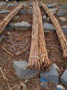 MATÉRIAU RATAN pour MEUBLES ET DÉCORATION-MATÉRIAU EN ROTIN DU VIETNAM // Mme Beatrix - Product Image 2