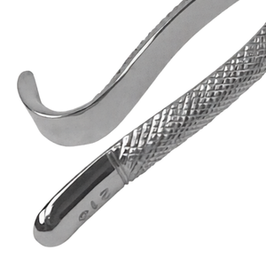 Forceps d'extraction dentaire # Instrument manuel d'extraction dentaire en acier inoxydable pour racines de canines supérieures centrales 213 - Product Image 6