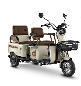 Electric Tricycle with LED Light & Horn 3 Speed Lead-Acid Battery 600W 48V Safe Night Riding - Product Image 2
