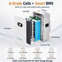Paquete de Baterías de Litio LiFePO4 de 51.2V 100Ah 200Ah 314Ah, 5kwh 10kwh 16kwh, Montaje en Pared, 5kW 10kW, Almacenamiento de Energía Solar para el Hogar, ESS