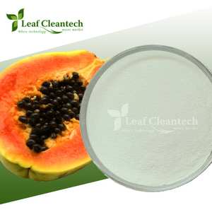 Outstanding Quality Papain Food <b>Enzyme</b> Powder Manufactured in Bangalore Karnataka India - Product Image 1