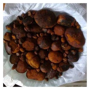¡Nueva Llegada! ! Cálculos Biliares de Buey, Cálculos Biliares de Vaca, Cálculos Biliares de Ganado - Product Image 2