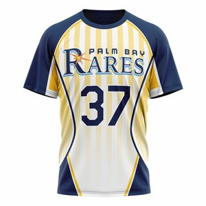 Camiseta con Logotipo Personalizado OEM ODM, Camiseta Deportiva de Manga Corta para Hombre, Jersey de Secado Rápido - Product Image 4