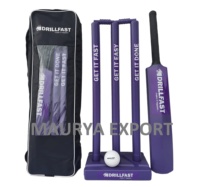 Juego de cricket personalizado/Juego de cricket de playa de marca personalizada