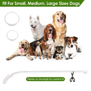 Collare per Cani LED Ricaricabile USB, Illuminazione Multicolore, Lunghezza Regolabile, Collare di Sicurezza per Cani Piccoli, Medi e Grandi - Product Image 4