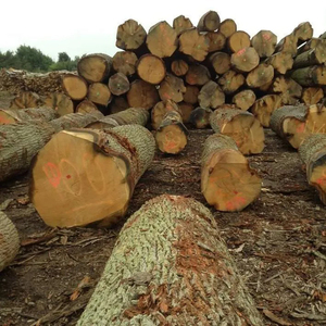 ไม้เนื้ออ่อนเกรดมืออาชีพที่มีความแข็งแรงที่เหนือกว่าและเสร็จสิ้นทนทาน - Product Image 5