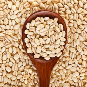 Granos de Cebada Desgranada Premium/Semillas de Cebada para Alimentación Animal, Proceso FD, Sudáfrica, 12 Meses de Vida Útil, Mejor Precio - Product Image 1
