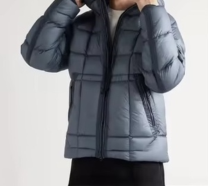 Chaqueta Acolchada con Capucha para Hombre, Color Gris, Cortavientos, Informal, para Invierno, Cierre de Cremallera, Largo Regular, Relleno 100% Poliéster - Product Image 2