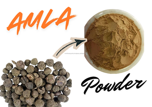 Poudre d'Amla entière séchée naturelle à 100% |   Poudre d'herbe de sureau indien de qualité alimentaire |   Fournisseur en gros - Product Image 2