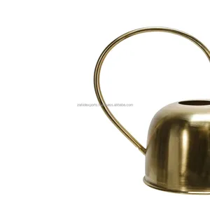 Arrosoir en fer finition antique, artisanat fait main, décoration, arrosoir artisanal haut de gamme pour plantes d'intérieur, style moderne - Product Image 2