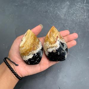 Sculpture décorative en racine de palmier naturelle de qualité supérieure, polie, sculptée à la flamme, origine Indonésie, 7,5 cm, Art & Objets de collection - Product Image 1