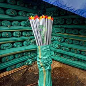 Colorful PVC-Coated Wooden Broom Handle with Plastic Broom Head and Dustpan Factory Direct Cheap Price Household Cleaning <b>Mop</b> - Product Image 1