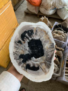 Wholesale Petrified <b>Wood</b> <b>Slice</b> 2 Sides Gemstones High Quality Handicrafts Carved Smooth Shape Indonesian Healing - Product Image 4