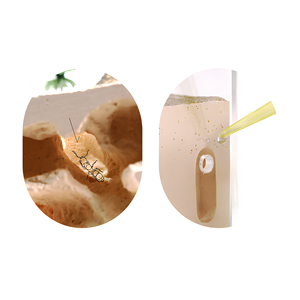 Empire Of Ant Egypt - Hábitat 3D de Acrílico Moderno Integrado de un Solo Lado, Estilo Túnel, con Cierre de Botón a Presión y Diseño Transparente - Product Image 4