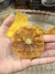 Ananas séché moelleux 250g/500g Jaune doré Prêt à consommer Sans sucre Collation saine Fabriqué au Vietnam pour la vente au détail et les distributeurs - Product Image 1