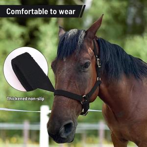 EQUILUX HANDCRAFT BOUTIQUE Luxury Quilted Horse <b>Halter</b> Comfortable Stylish Lightweight Nylon/Wool/Neoprene Equestrian - Product Image 3