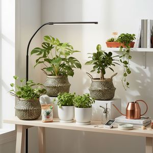 Cesta de Almacenamiento de Mimbre Tejido, Hecha a Mano, Ecológica, Duradera, Diseño Circular Moderno, Personalizable, Organizador Multifuncional - Product Image 4