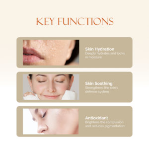 Tónico Facial de Nido de Pájaro OEM B2B, el Más Vendido en Malasia, Reparador, Hidratante, Iluminador, Antienvejecimiento, con Garantía del Mejor Proveedor - Product Image 4