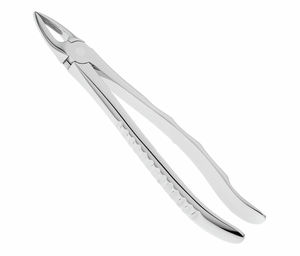 Forceps d'extraction dentaire les plus vendus, durables, en acier inoxydable de haute qualité, pour racines de dents, molaires, extraites par forceps dentaires - Product Image 3