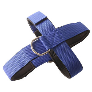 Arnés de Cuello de Nailon Azul con Cadena de Metal Ajustable para Entrenamiento de Boxeo, Equipo de Protección - Product Image 2