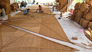 Malla y tapete de fibra de coco para control de erosión, alta durabilidad, ecológico, marca VIET DELTA, hecho en Vietnam - Hazel - Product Image 3