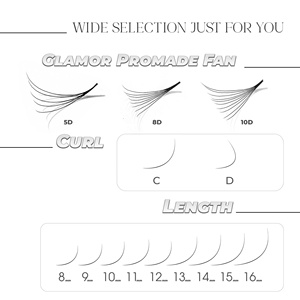 Extensions de cils faits à la main de haute qualité 12D plein Volume C/Cc/D longue tige 0.03/0.05mm épaisseur ventilateurs noirs naturels - Product Image 5