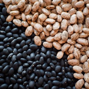 Pinto <b>Beans</b> Elite Quality Selection For Ingredient Supply Networks Featuring Superior Texture And Premium Grain Standards - Product Image 2