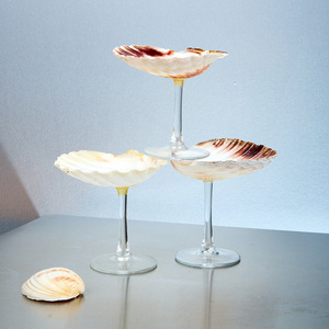 Verres à cocktail en coquillages marins du Vietnam, verres à shot en coquillages marins, articles de bar, cadeau, meilleure réduction - Product Image 4