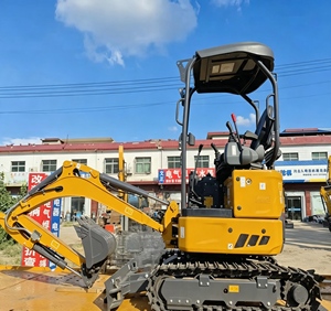 Miniexcavadora Compacta XE19U de 15.4KW con Alta Potencia de Excavación, Excavadora para Movimiento de Tierras con PLC y Bomba para Construcción Agrícola - Product Image 2
