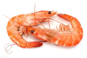 SUMINISTRO 2026 |   VDELTA Camarones (Krill) Congelados de Vietnam |   Directo de Fábrica - Product Image 3